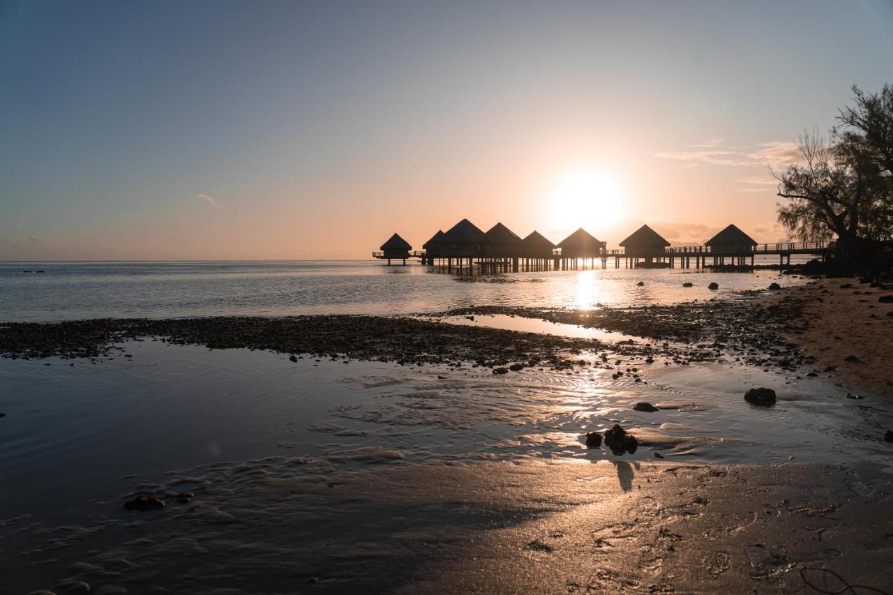 Le Charme Polynesien Proximite Plage Et Commerces 푸나우이아 외부 사진